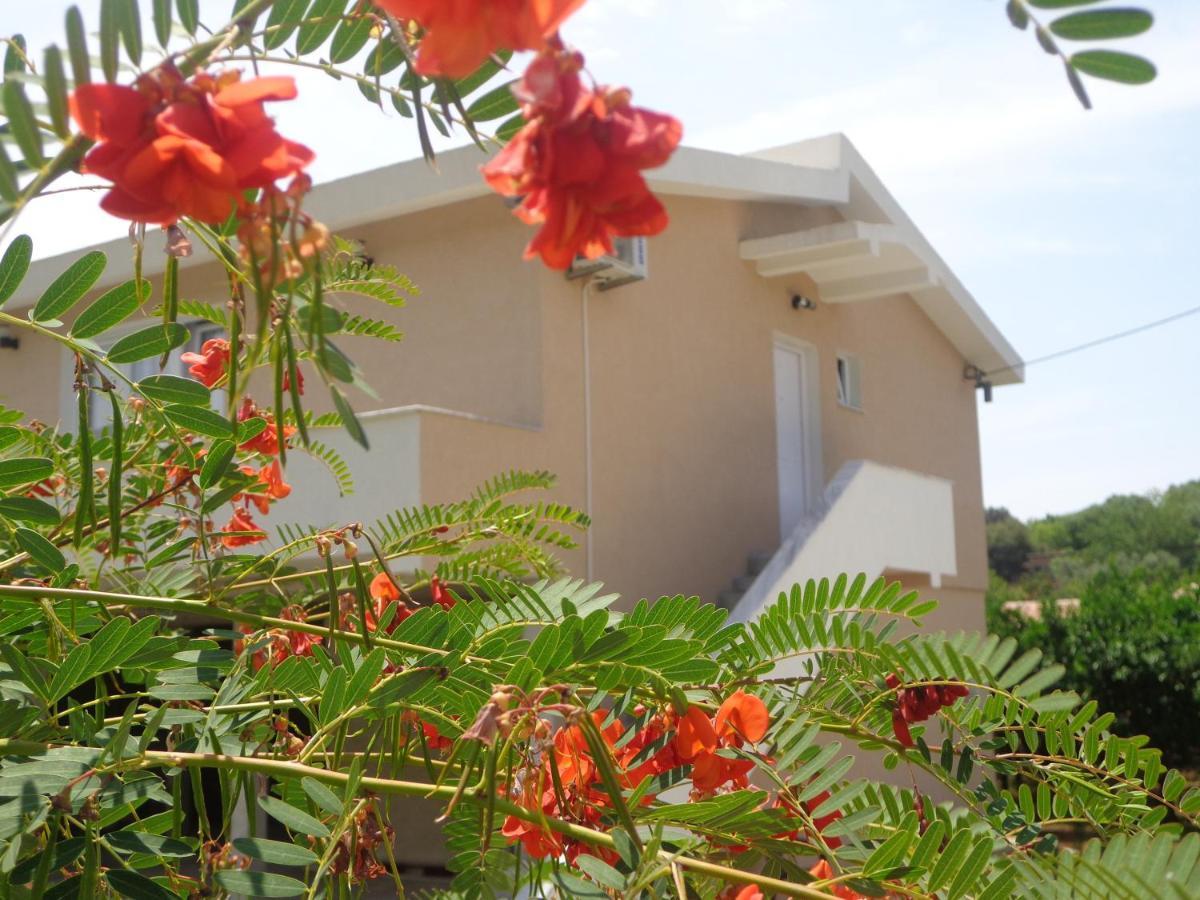אולסינץ' Apartments Pepdjonovic מראה חיצוני תמונה