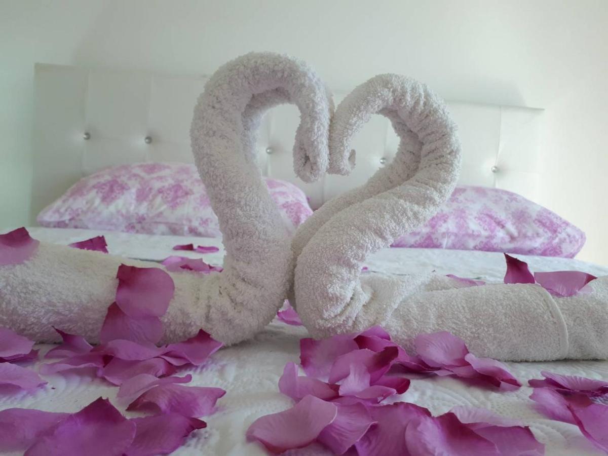 אולסינץ' Apartments Pepdjonovic מראה חיצוני תמונה