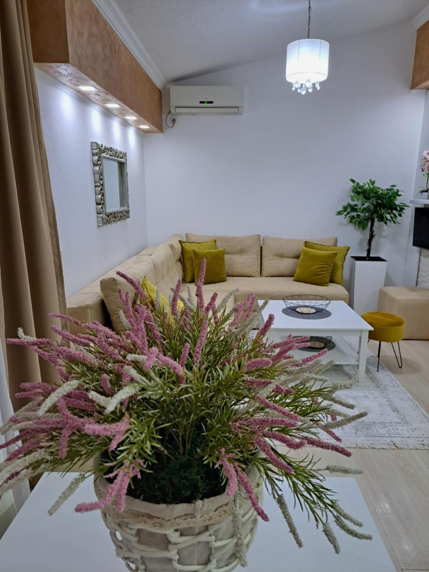 אולסינץ' Apartments Pepdjonovic מראה חיצוני תמונה